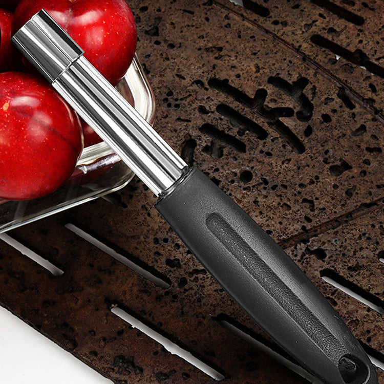 Apple Corer Remover Tool-2